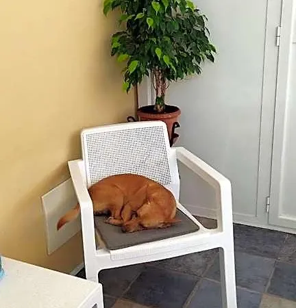 Dalla Zia Bed & Breakfast