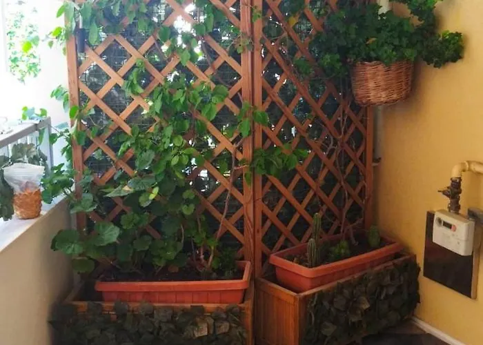 Dalla Zia Bed & Breakfast Bari