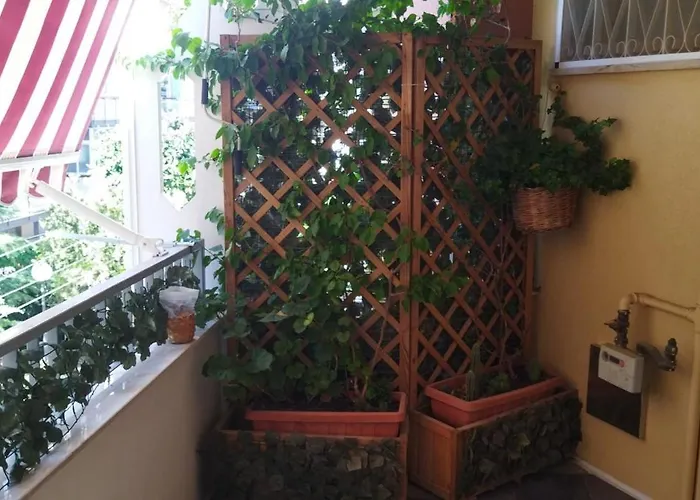 Bed & Breakfast Dalla Zia